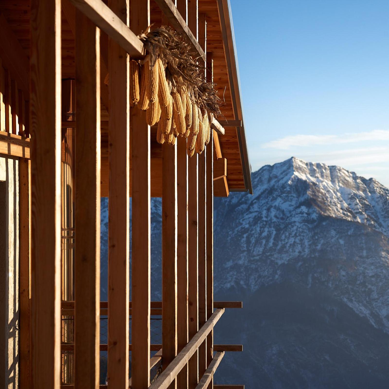 Nif: Alpine Taste